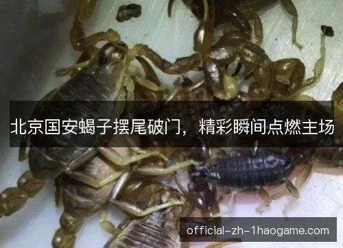 北京国安蝎子摆尾破门，精彩瞬间点燃主场
